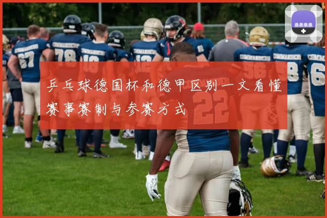 乒乓球德国杯和德甲区别一文看懂赛事赛制与参赛方式