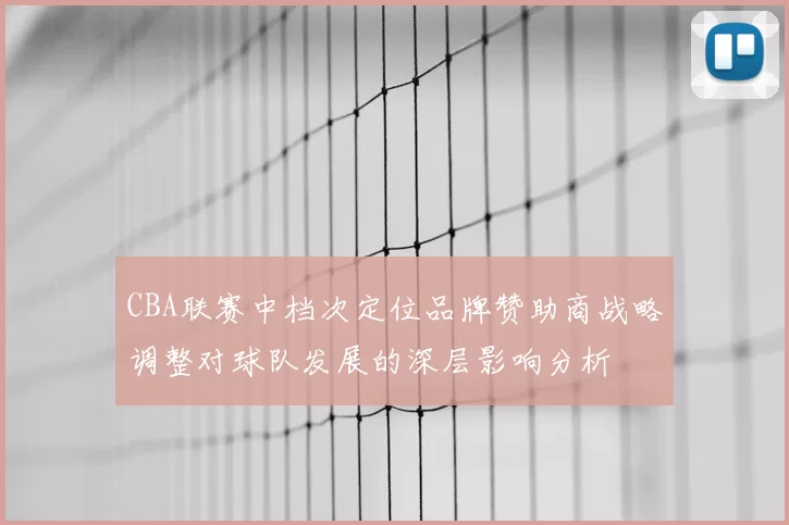 CBA联赛中档次定位品牌赞助商战略调整对球队发展的深层影响分析