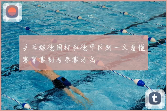 乒乓球德国杯和德甲区别一文看懂赛事赛制与参赛方式
