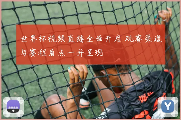 世界杯视频直播全面开启 观赛渠道与赛程看点一并呈现